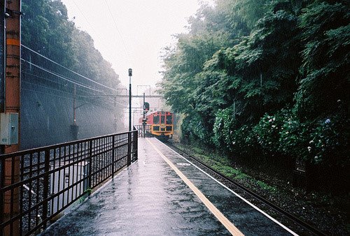 072308ium6d5mvung5mduz.jpg